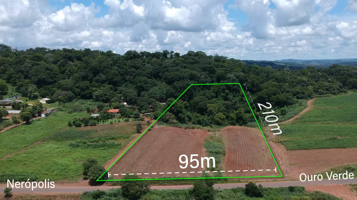 Gleba com 20.000m² à Venda Próxima a Nerópolis - Imagem 1