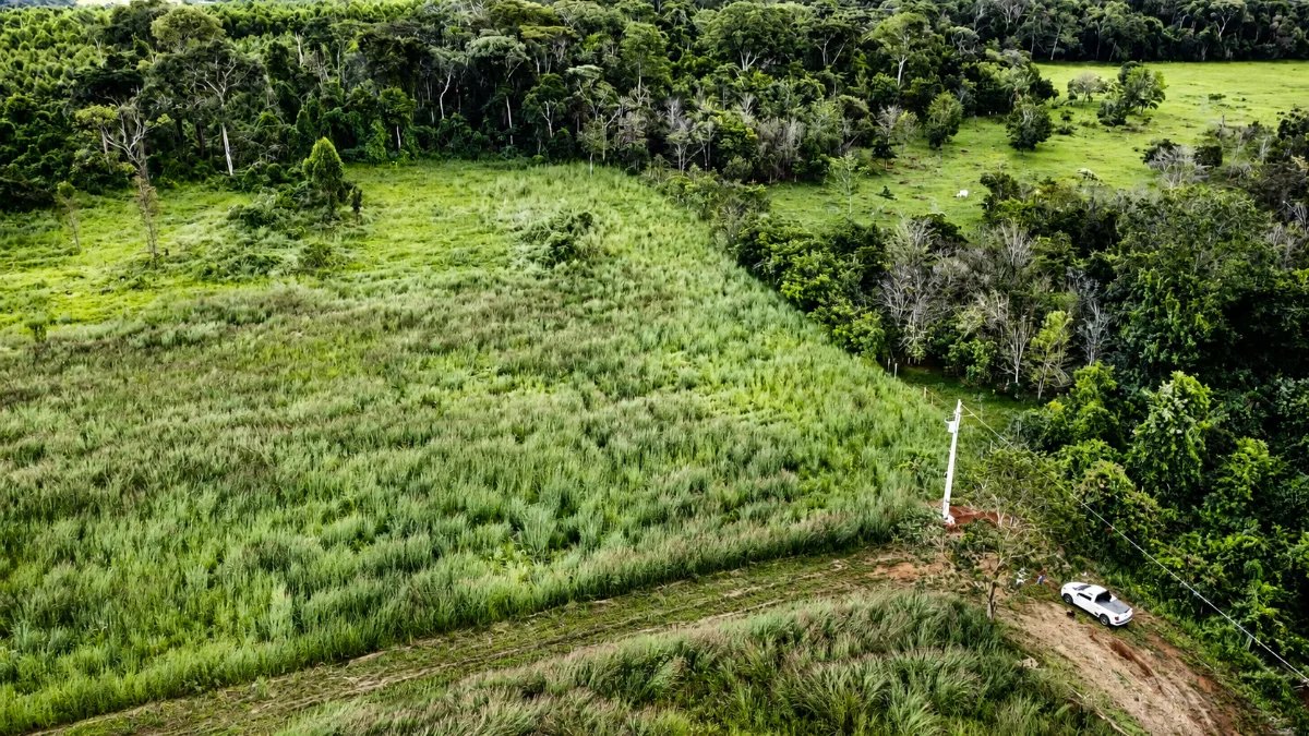 Chácara à Venda de 24.000m² em Nerópolis - Imagem 1