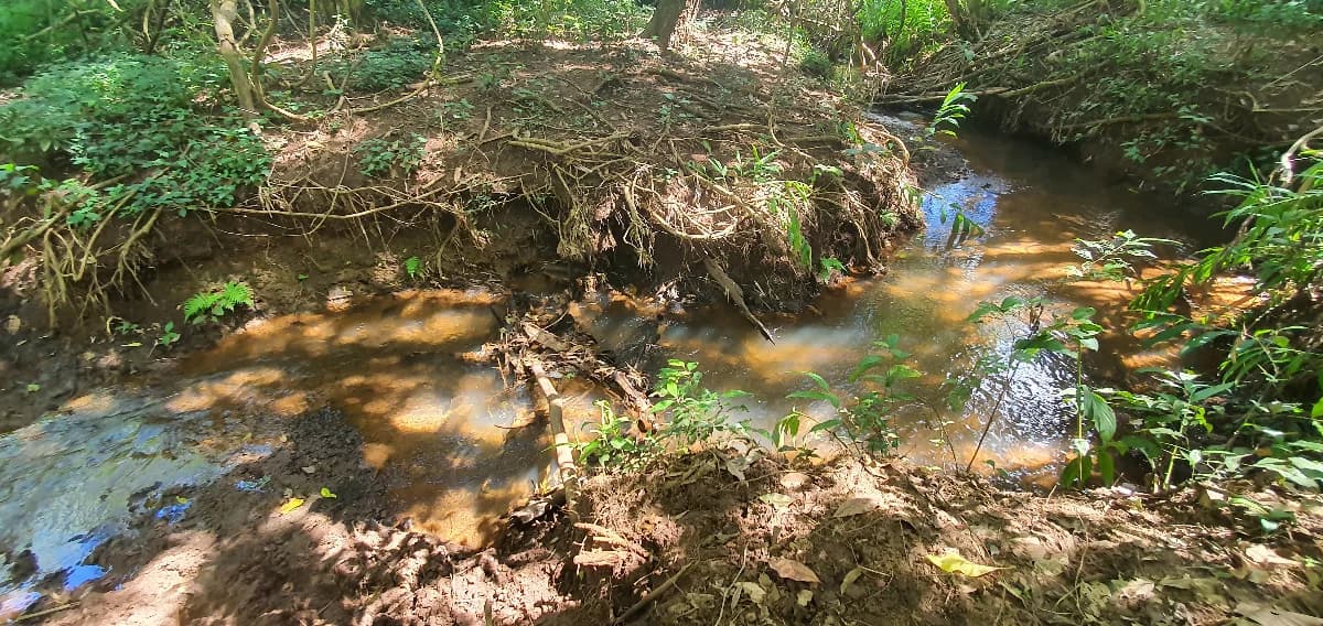 Fachada do Chácara com 1 Alqueire à venda com água e escritura na região Macaúba | Próximo a Nerópolis