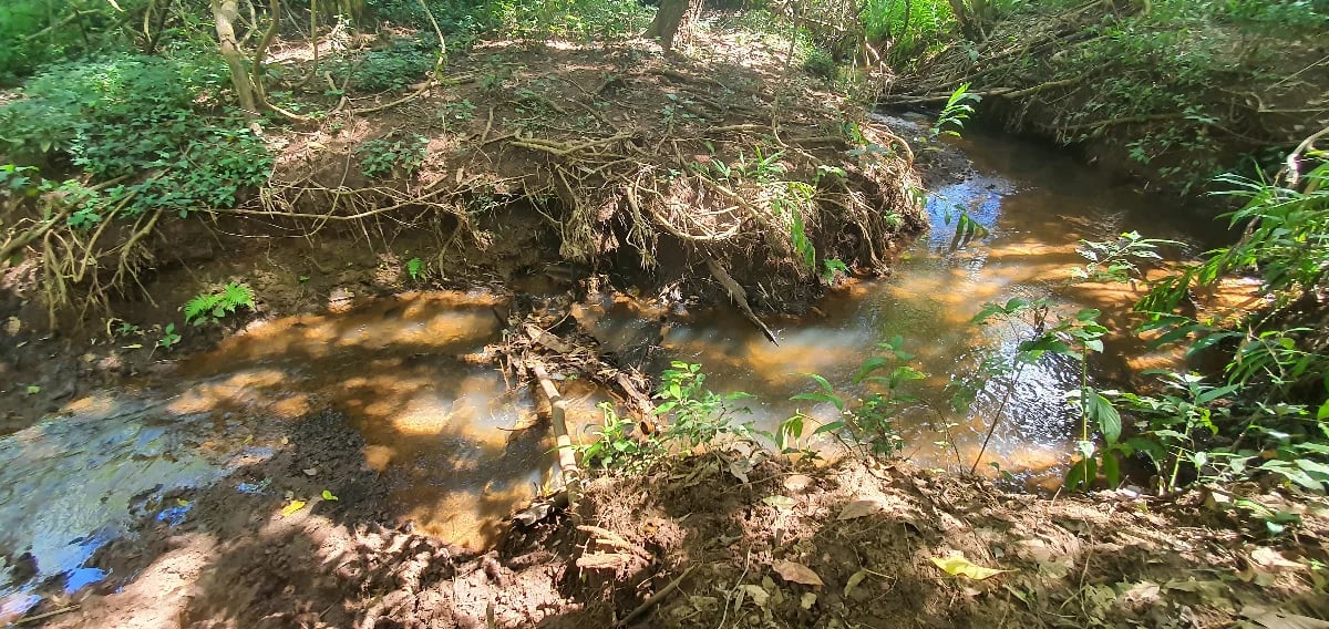 Chácara com 1 Alqueire à venda com água e escritura na região Macaúba | Próximo a Nerópolis - Imagem 1