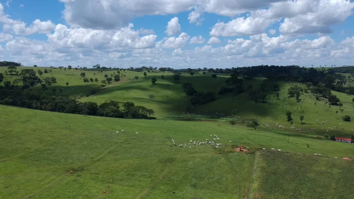 Fachada do Fazenda em Ouro Verde de Goiás | 23 Alqueires | Com Córrego